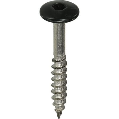 Schroeven voor montage Trespa platen - Torx 20 - 4,8x32mm - RVS - Deeldraad - Zwart RAL 9005 (100 stuks)