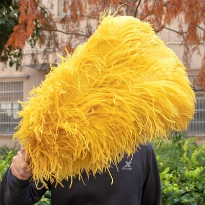 10 STUKS Rode Struisvogelveren Bulk 15-60CM Natuurlijke Veren Voor Knutselen Bruiloft Feest Tafeldecoraties Decoratie Carnaval Plumas 15-20CM 6-8INCH