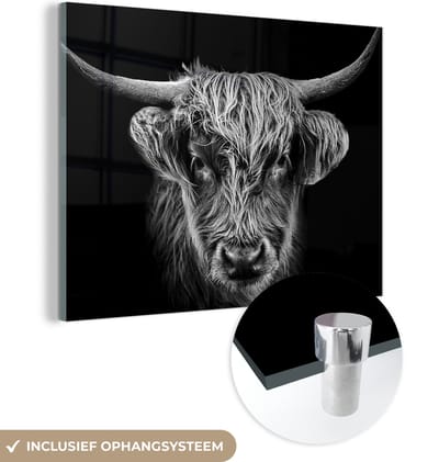 MuchoWow® Glasschilderij 160x120 cm - Schilderij acrylglas - Schotse hooglander - Zwart - Koe - Dieren - Foto op glas - Schilderijen