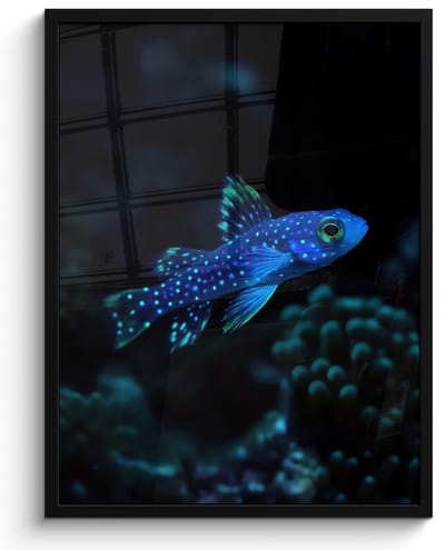 Poster in lijst - Fotolijst 60x80 cm - Posters - Vis - Stippen - Koraal - Blauw - Posterlijst zwart - Decoratie - Wanddecoratie woonkamer - Muurdecoratie slaapkamer