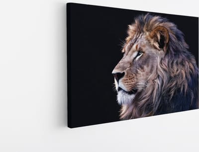Saammp Canvas Schilderij - leeuwen portret - Afrika - Dieren - Natuur - 45x30 - Foto op canvas - Wanddecoratie - Muurdecoratie Woonkamer - Slaapkamer decoratie - Canvas Print