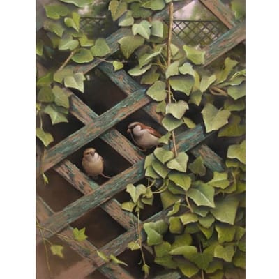 5D DIY diamant schilderij vogels kruissteek diamant borduurwerk dieren volledige boor 20X30CM black