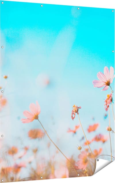 Gards Tuinposter Paarse Kosmos Bloemen - 120x160 cm - Tuindoek - Tuindecoratie - Wanddecoratie buiten - Tuinschilderij