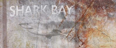 Fotobehang SharkBay DD108945 A.S. Création AP Digital 4 | Fotobehang