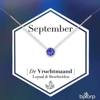 Bixorp Geboortesteen Ketting September - Zilverkleurig Roestvrij Staal met Zirkonia Hanger - Stainless Steel - Saffier