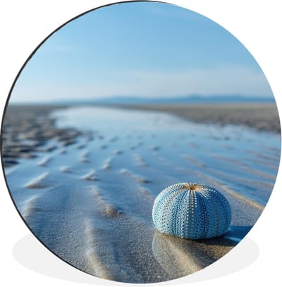 WallCircle - Wandcirkel - Muurcirkel - Strand - Schild - Water - Blauw - Aluminium - Dibond - 30x30 cm - Binnen en Buiten