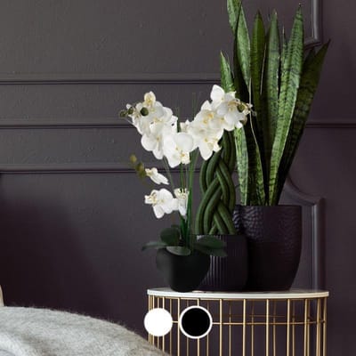 Kunstmatige orchidee met keramische vaas H53cm - Kunststof - Zwart - Zwart - SILUMEN