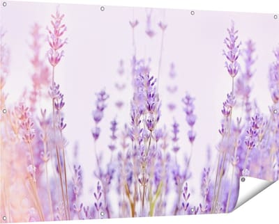 Gards Tuinposter Paarse Lavendel Bloemen - 150x100 cm - Tuindoek - Tuindecoratie - Wanddecoratie buiten - Tuinschilderij