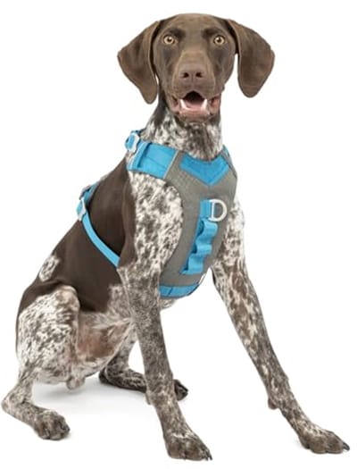 Hondenharnas voor Actieve Honden - Comfortabel Wandelharnas voor Joggen, Reflecterend en Ademend