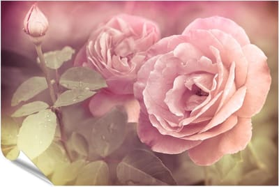 Rozen Poster - Bloemen Print - Muur Decoratie - Zijdemat Papier - 90 x 60 cm - Rozen Print