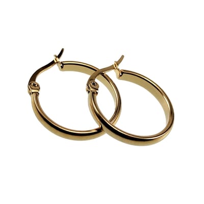 ∅20mm x 3mm Oorringen Dames - Verguld RVS - Oorbellen