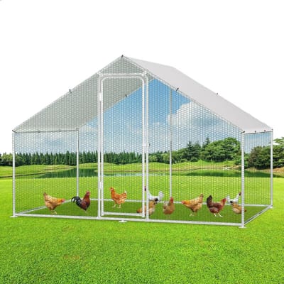 Thuys – Kippenhok – Kippenren – Kippenhok Met Ren – Konijnenhok – Konijnenren – Hout – XXL
