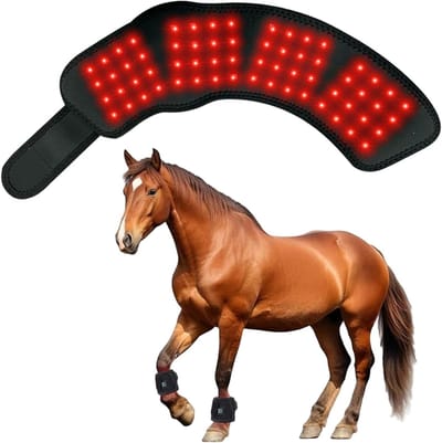 Paarden Lichttherapie - Roodlicht Mat - Dagelijkse Verzorging - Draadloos Oplaadbaar - 45 x 10 cm - Zwart