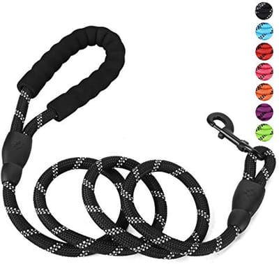 Reflecterende Hondenriem - Stevige, Bijtbestendige Touwriem met Comfortabele Gevoerde Handgreep voor Grote, Middelgrote en Kleine Honden - Multicolour Paracord Lichtgewicht Rijm