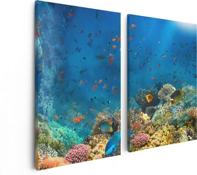 Artaza Canvas Schilderij Tweeluik Onderwater Vissen Met Koraal In De Zee - 80x60 - Foto Op Canvas - Canvas Print