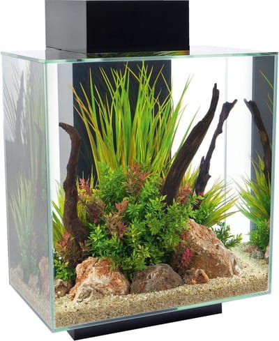 Fluval Edge Aquarium II 2.0 Zwart 46 Liter