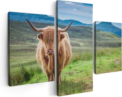 Artaza Canvas Schilderij Drieluik Schotse Hooglander In De Wei - Kleur - 90x60 - Foto Op Canvas - Canvas Print