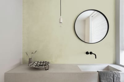 Levis - Expert Muur Binnen Mix - Clear Green A10 - Mengverf - 10 L