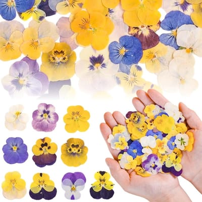 Natuurlijke Gedroogde Eetbare Bloemen Mix voor Taartdecoratie - 100 Stuks Viola Tricolor voor Cupcakes, Cocktails en Resin Sieraden Maken