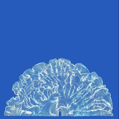 Leafcutter John - Yes! Come Parade With Us (CD)