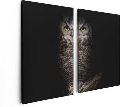 Artaza Canvas Schilderij Tweeluik Uil Op Een Tak In De Nacht - 80x60 - Foto Op Canvas - Canvas Print