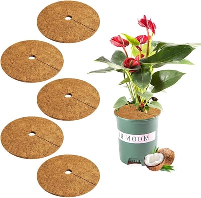 Set van 5 Kokosmatten van 30 cm voor Winterbescherming en Duurzame Plantenbescherming, Ideaal voor Tuin en Balkon