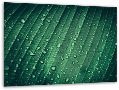 TMK ArtDeko - Snijplank - Glas - 40x30cm - Groen