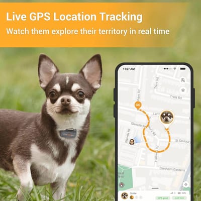 GPS Tracker voor Honden met Activiteitenbewaking en Locatiegeschiedenis - Onbeperkt Bereik in Onyx Zwart