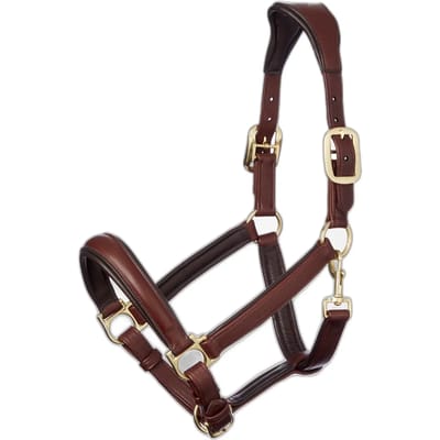 Halster voor paarden LeMieux Anatomic