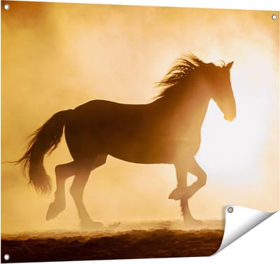 Gards Tuinposter Silhouet van een Paard - 100x80 cm - Tuindoek - Tuindecoratie - Wanddecoratie buiten - Tuinschilderij