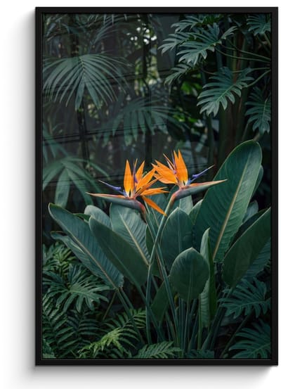 Poster in lijst - Fotolijst 80x120 cm - Posters - Paradijsvogel - Bloem - Exotisch - Posterlijst zwart - Decoratie - Wanddecoratie woonkamer - Muurdecoratie slaapkamer