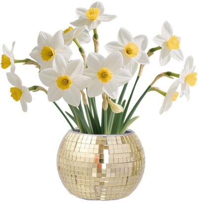 discobol vaas gouden disco bal plantenbak mini plantenpot voor cactussen kruiden en venster zilveren spiegelglas decoratieve vaas 8,9 x 8,9 cm (1, goud)