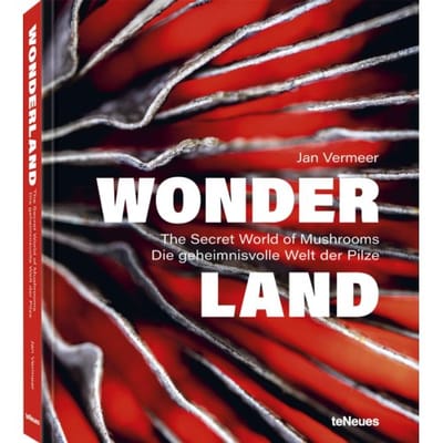 Wonderland - Vermeer, Jan