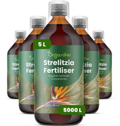 Vloeibare Meststof Voor Strelitzia 5X1 L Voor 5000 L - Npk 2-1-8 - Ondersteunt Krachtige Vegetatieve Groei En Een Opgaande Structuur Bij Strelitzia - Bevordert Betrouwbare Ontwikkeling Van Bloemstelen En Bloemkwaliteit - Organifer