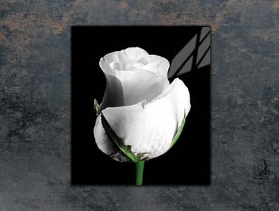 TMK ArtDeko Serie - Snijplank - 45x52 cm - Roesmotief - Veilig - Hygiënisch