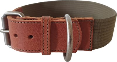 ANIMAL BOULEVARD Halsband - Canvas-Leder - Cognac-Groen - Breedte: 4 cm - Nekomtrek: 46 - 54 cm (GELIEVE ALVORENS BESTELLEN OPMETEN)