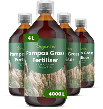 Vloeibare Meststof Voor Pampasgras 4X1 L Voor 4000 L - Npk 2-1-8 - Vergroot De Pluimgrootte - Dichtheid En De Seizoensgebonden Bloei-Impact - Versterkt Stengels Voor Hoge - Rechtopstaande Groei Bij Winderige Omstandigheden - Organifer