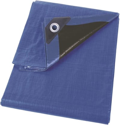 Afdekzeil Ultrasterk - Waterdicht Zeil - Tuin Beschermen - 26 Versterkte Oogjes - 5x8 Meter - Blauw Zwart