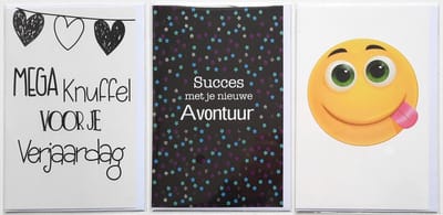 3 Wenskaarten - Succes met je nieuwe Avontuur + Mega Knuffel + Blanco Kaart Smiley - 12 x 17 cm – BED-303