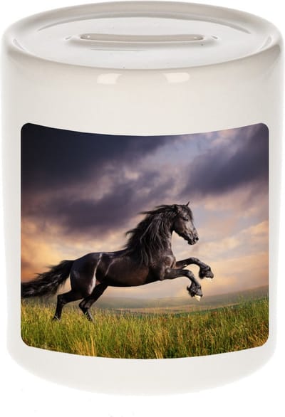 Dieren zwart paard foto spaarpot 9 cm jongens en meisjes - Cadeau spaarpotten paarden liefhebber