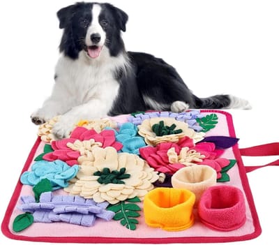 Snuffelmat Hond - Voedingsmat - Mentale Stimulatie - Opvouwbaar Antislip - 39 x 34 cm - Rood