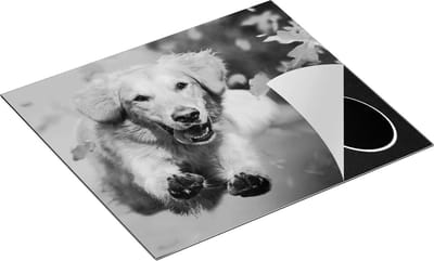 Chefcare Inductie Beschermer Golden Retriever Hond in de Herfst Bladeren - Zwart Wit - 60x50 cm - Afdekplaat Inductie - Kookplaat Beschermer - Inductie Mat