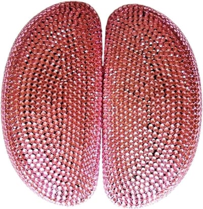 Brillen Koffer - Bril Doos - Veilig Opbergen - Hard Shell - Grote Maat - Strass