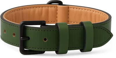 Brute Strength - Luxe leren halsband hond - Donker groen - L - (46 - 53 cm) x 3,5cm - honden halsband - hondenhalsband - halsband hond leer