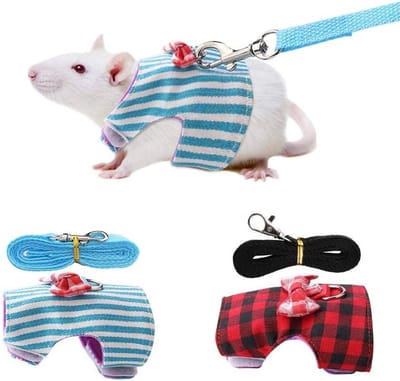 Harnas voor Huisdieren - Verstelbaar Kattenharnas met Borstband - Geschikt voor Fretten, Cavia's, Konijnen, Hamsters - Voor Puppy's en Kittens - Kleding en Accessoires - Maat M