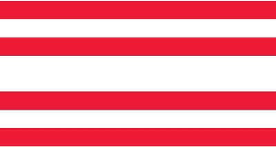 Vlag Gorinchem 30x45cm