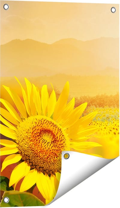 Gards Tuinposter Zonnebloemen Veld met Zonopkomst - 40x60 cm - Tuindoek - Tuindecoratie - Wanddecoratie buiten - Tuinschilderij