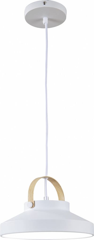 Hanglamp LED Modern Wit Rond Klein 24 cm - Scaldare Grado