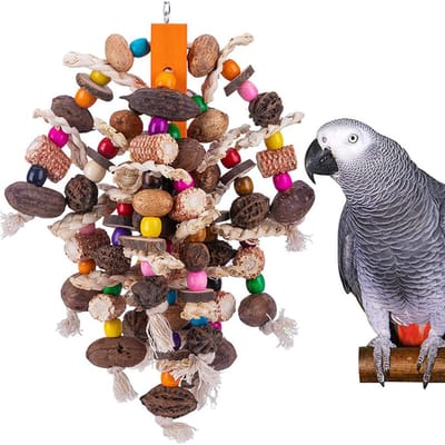 Grote Papegaai Kauwspeeltjes Houten Vogelkooi Speeltje Natuurlijke Noten Mais Papegaai Speeltje Voor Grijze Roodstaarten Ara's Kaketoes Andere Grote Vogels black