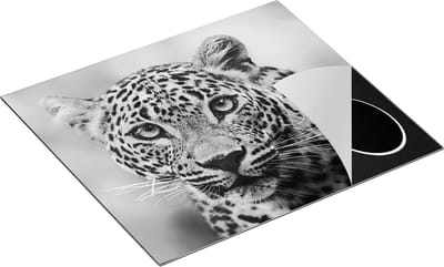 Chefcare Inductie Beschermer Luipaard van Dichtbij met Grote Ogen - Zwart Wit - 60x50 cm - Afdekplaat Inductie - Kookplaat Beschermer - Inductie Mat